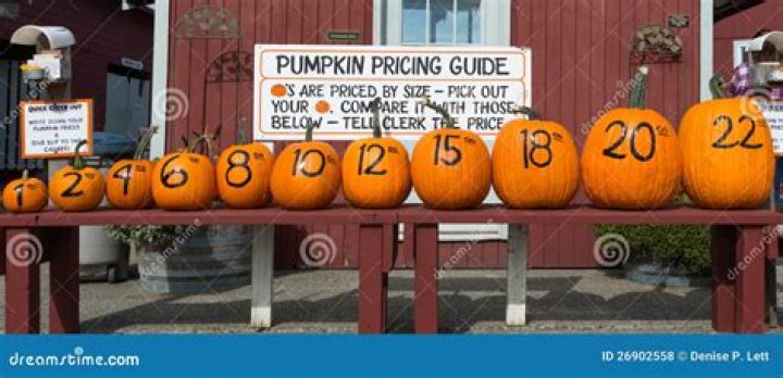 The Ultimate Guide: Pumpkin Pricing Unraveled