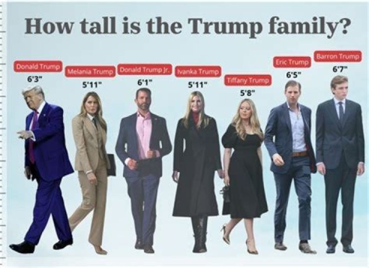 The Ultimate Guide To Donal Sutherland's Height: Unlocking The Secrets Of A Towering Figure