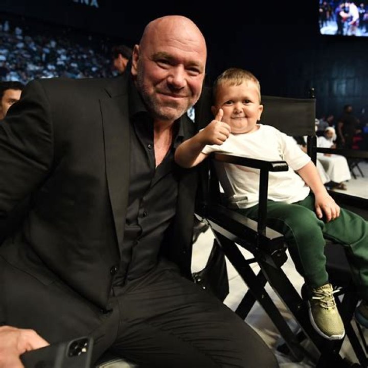 UFC signee Hasbulla accused of ripping fans off during Australia tour