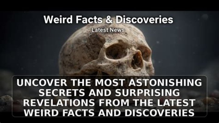 Uncover Surprising Discoveries And Life-Enhancing Insights