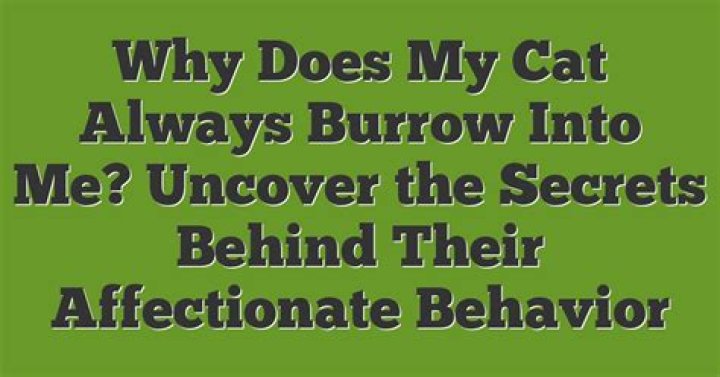 Uncover The Secrets Behind Their Bond