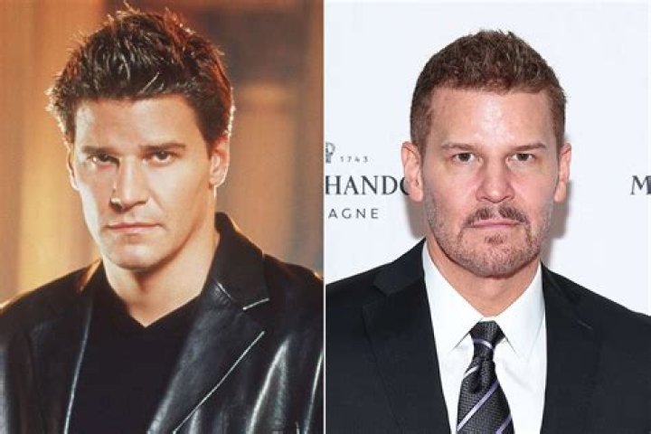 Uncover The Secrets Of David Boreanaz's Enduring Relationships