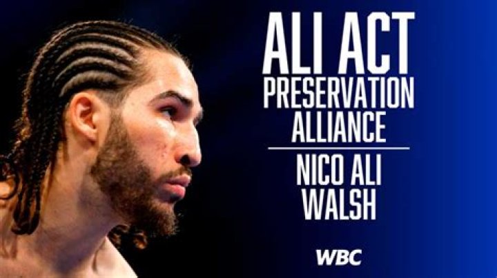 Uncover The Secrets Of Nico Ali Walsh's Stats: A Promising Journey