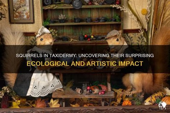 Uncovering Their Role And Impact