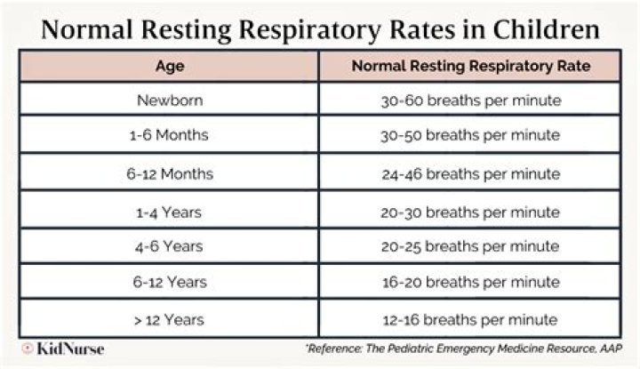 Understand The Normal Respiratory Rate For Infants: A Comprehensive Guide