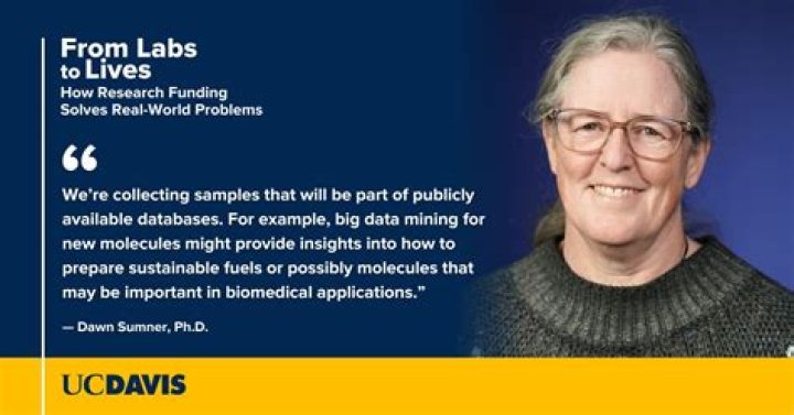 Unlock The Secrets Of Dawn Moore Education: Discoveries And Insights Revealed