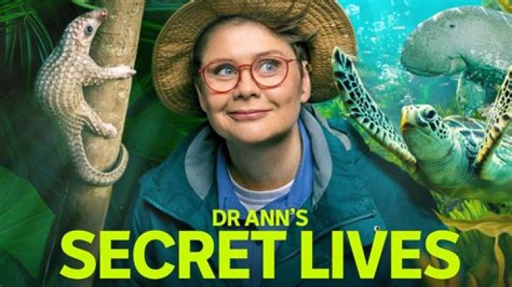Unveil The Secrets Of "ann Jones Abc Partner": Discoveries And Insights Await