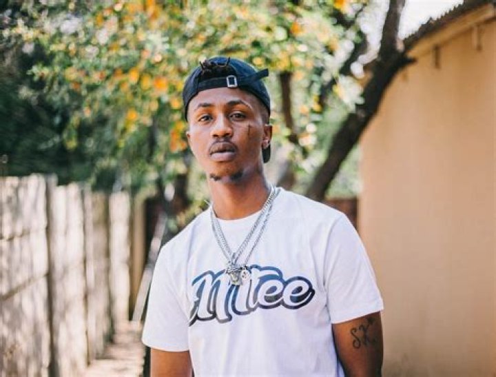 Unveil The Secrets Of Emtee's Girlfriend: Unseen Truths Revealed