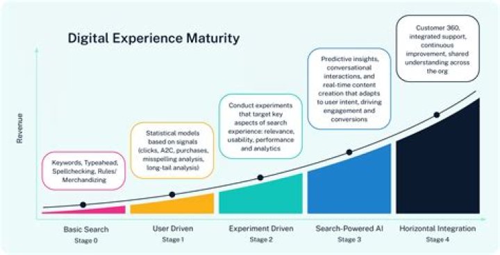 Unveiling Maturity, Experience, And Impact