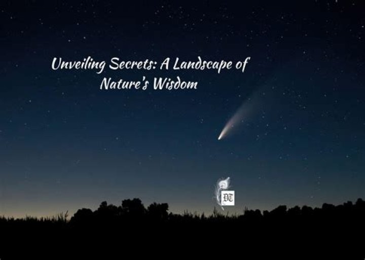 Unveiling Secrets And Unveiling Truths