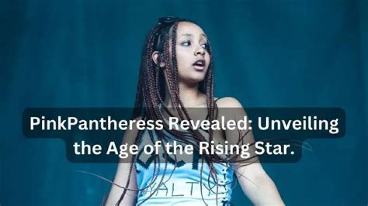 Unveiling The British Identity Of PinkPantheress: A Journey Of Discovery