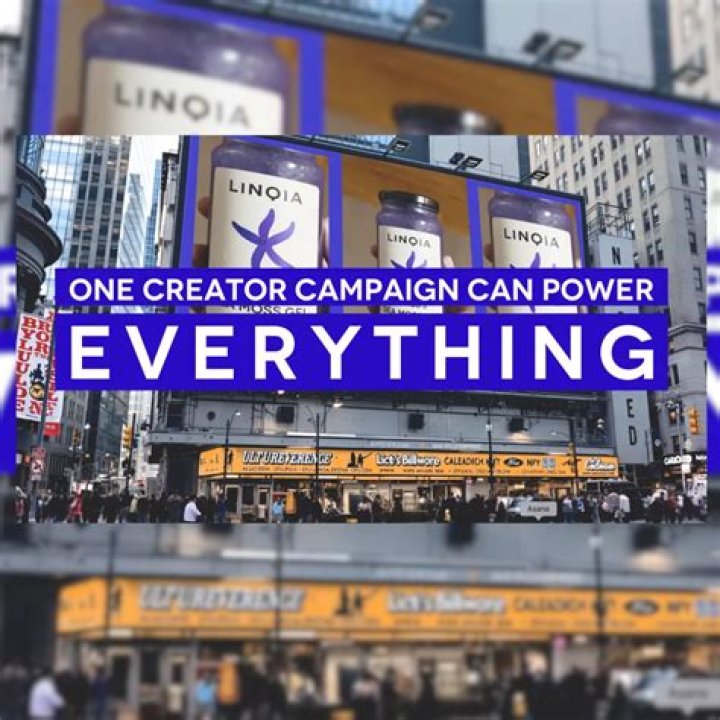 Unveiling The Campaign's Promise And Potential