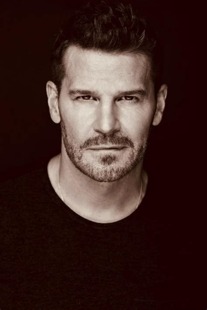 Unveiling The Enigmatic World Of David Boreanaz: A Visual Exploration