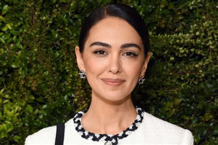 Unveiling The Intricate Tapestry Of Nazanin Boniadi's Relationships