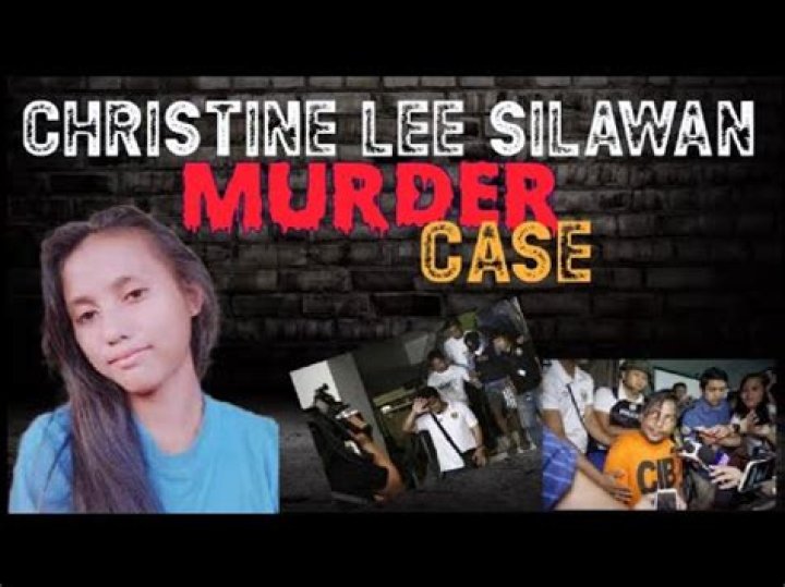 Unveiling The Multifaceted World Of Christine Lee Case