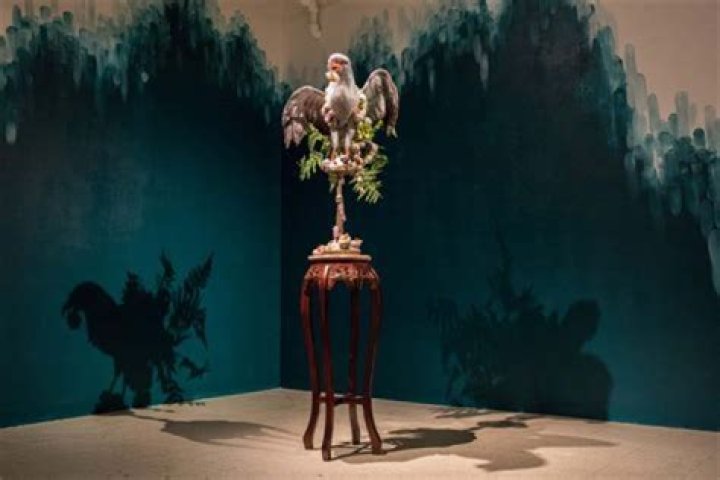 Unveiling The Multifaceted World Of Maia Falwasser: Discoveries And Insights Await