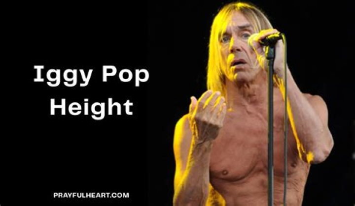 Unveiling The Secrets Of Iggy Pop's Height: A Comprehensive Exploration