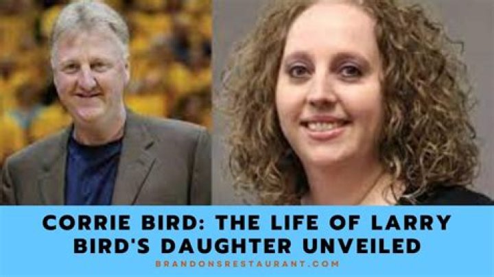 Unveiling The Secrets Of The Corrie Bird: Discoveries And Insights