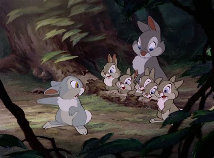 Unveiling The Secrets Of Thumper's Sisters: Uncover Hidden Insights