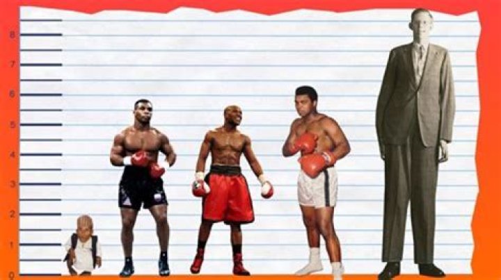Unveiling The Towering Influence Of Kevin Kane's Height In NFL History!