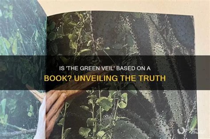 Unveiling The Truth: Is The Green Zone Based On Real Events?