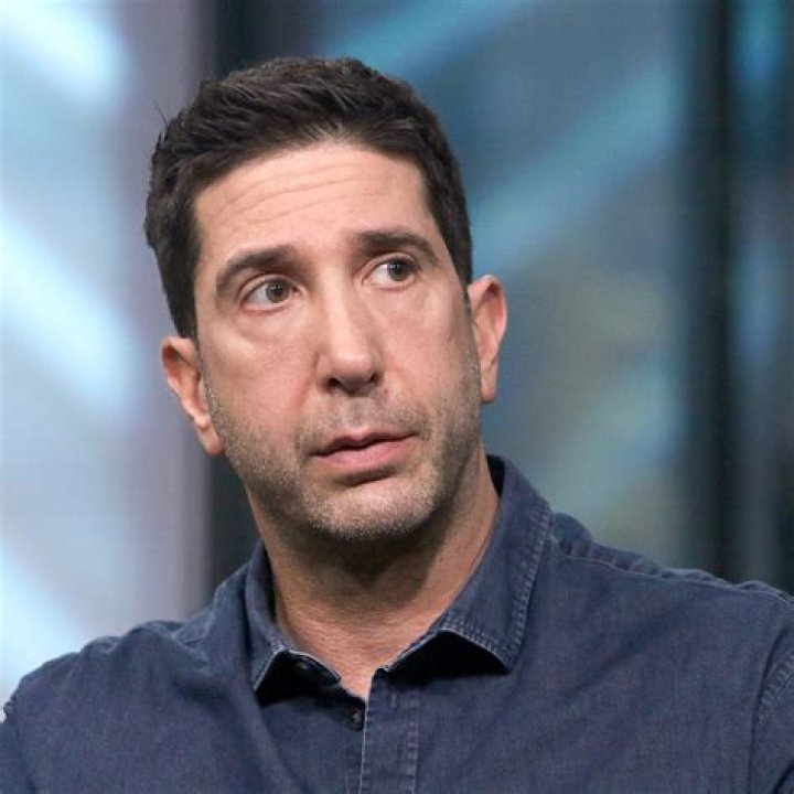 Unveiling The World Of David Schwimmer's Child: Discoveries And Insights