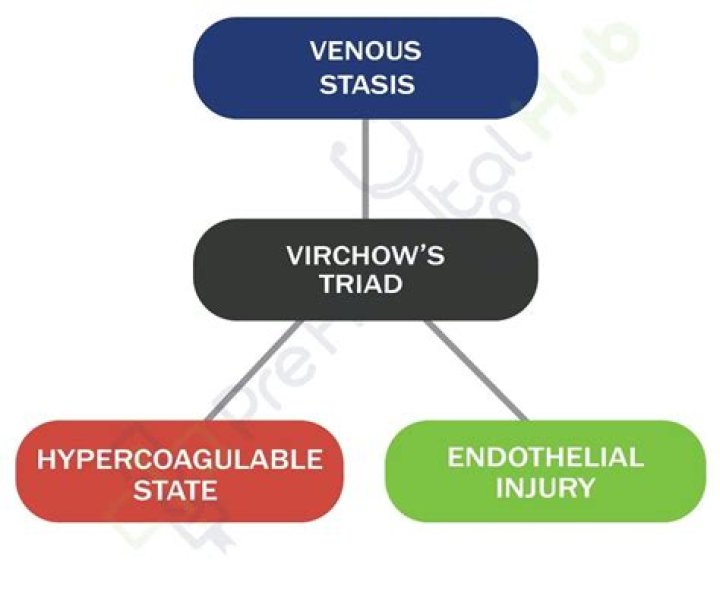 Virchow's Sign: A Guide To Recognizing And Treating Venous Insufficiency