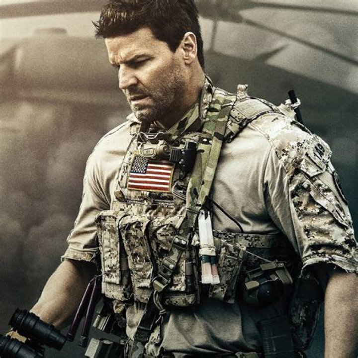 Was David Boreanaz A Real Navy SEAL?