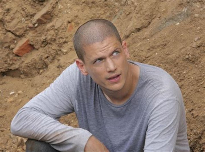 Wentworth Miller Says No More Prison Break As He Doesn't Want to Play