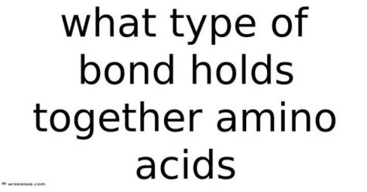 What Type of Bond Holds Dna Strands Together