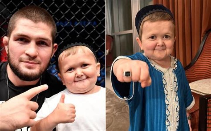 Who is Hasbulla Magomedov and what is his net worth