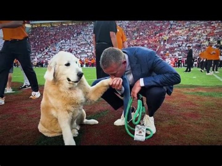 Why Does Kirk Herbstreit Travel With His Beloved Canine Companion?
