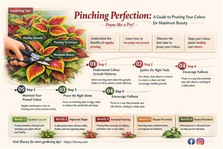 Your Guide To Pruning Perfection